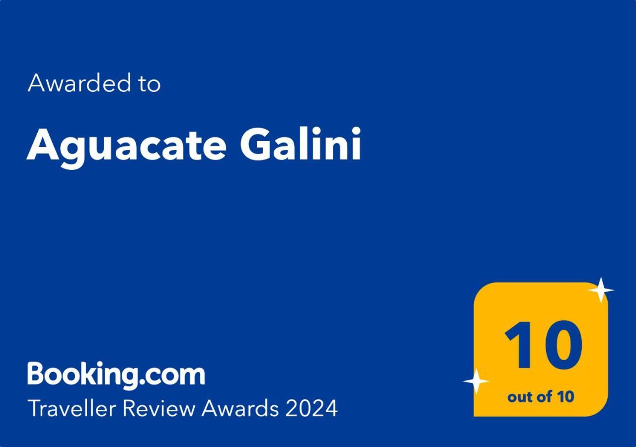 فيلا Aguacate Galini With Private Swimming Pool تسيليفي المظهر الخارجي الصورة